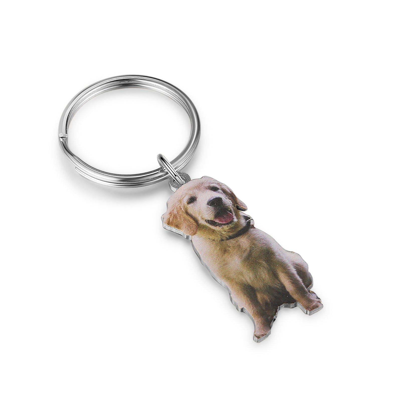 custom animal photo keychain featuring a playful golden retriever puppy, custom pet keychain.